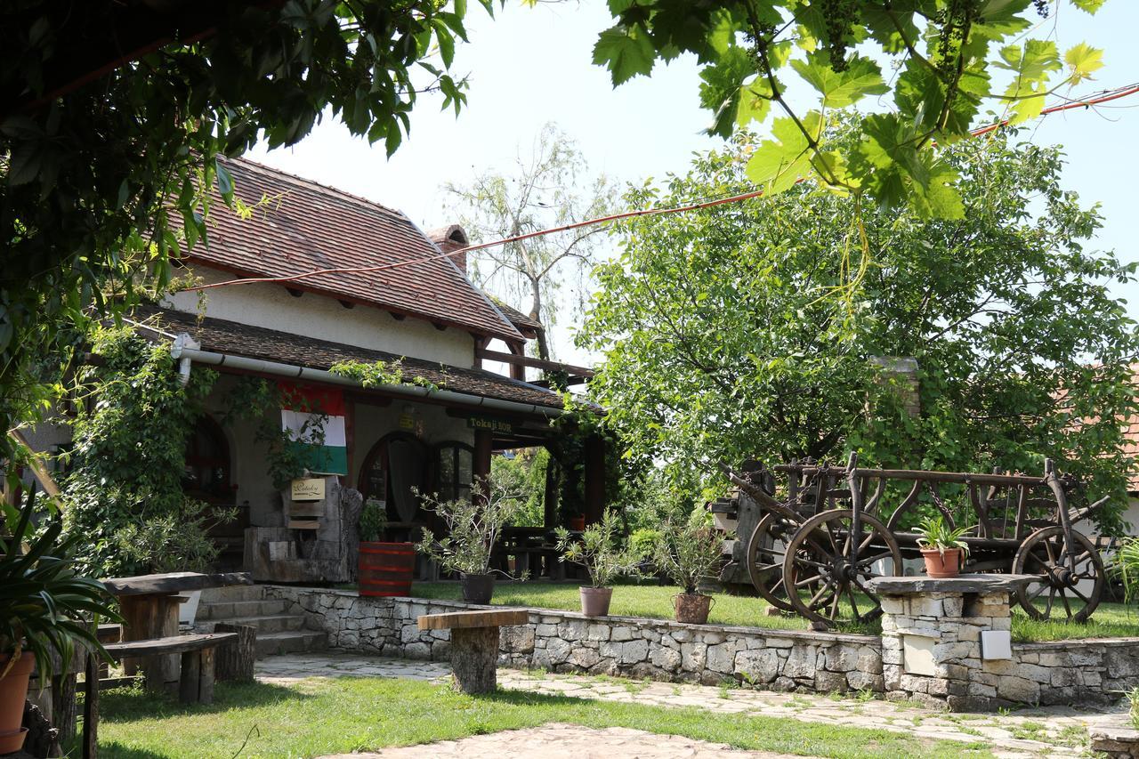 Bed and Breakfast Pataky Borporta Тарцаль Экстерьер фото