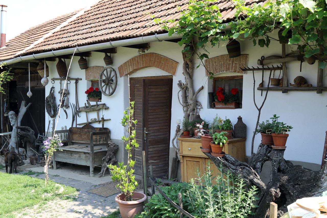 Bed and Breakfast Pataky Borporta Тарцаль Экстерьер фото