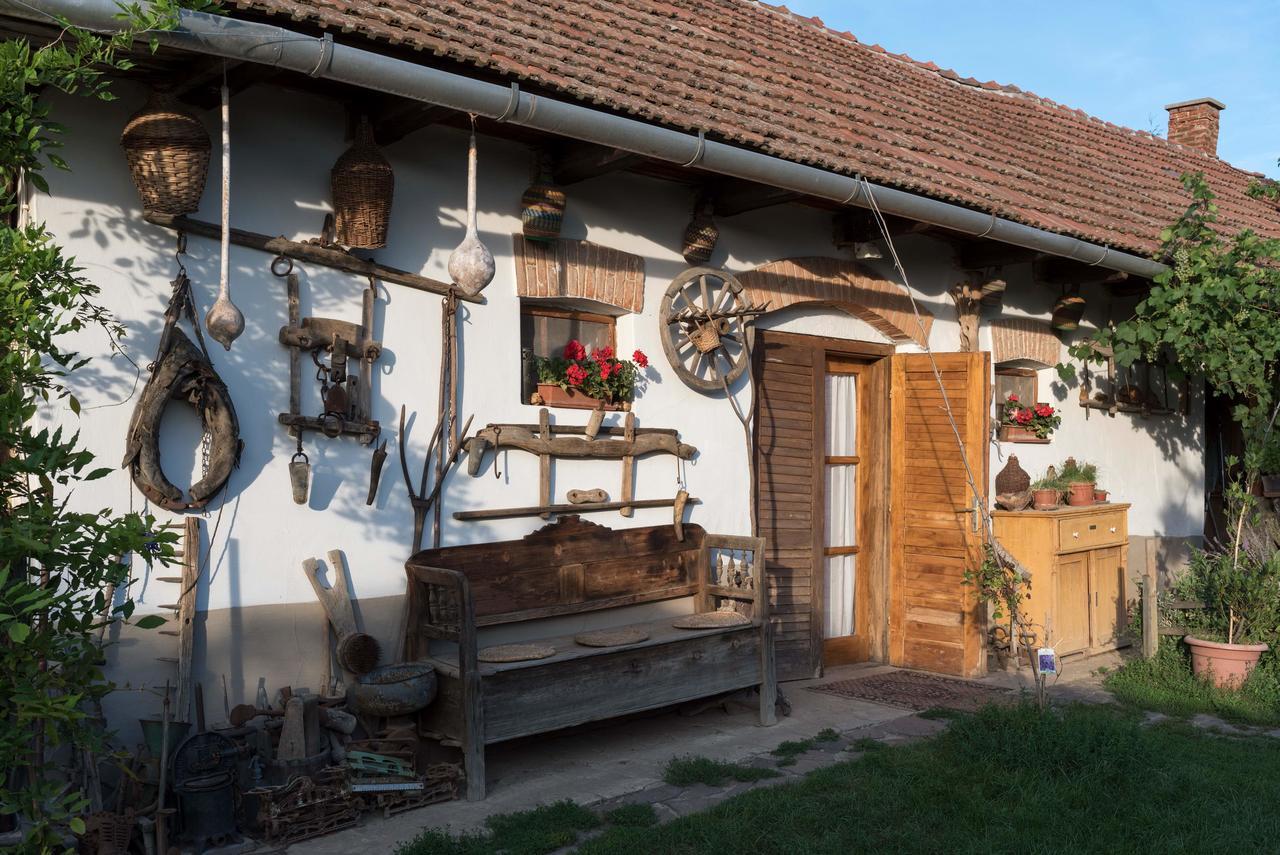 Bed and Breakfast Pataky Borporta Тарцаль Экстерьер фото