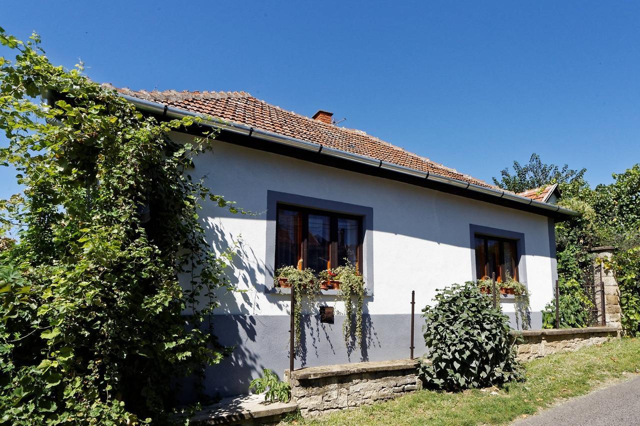 Bed and Breakfast Pataky Borporta Тарцаль Экстерьер фото